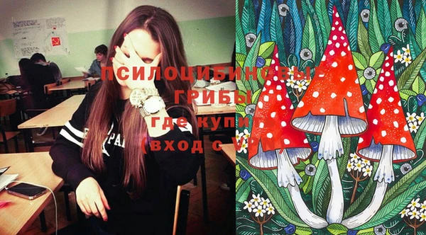 крисы Абдулино