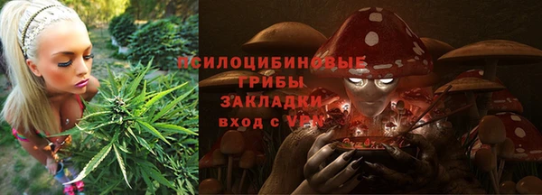 прущая мука Абаза