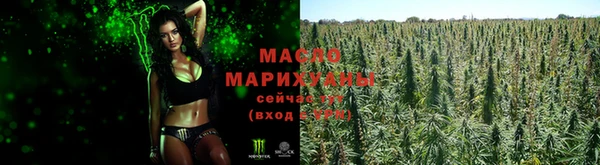 крисы Абдулино