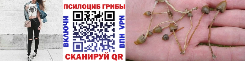 Купить  Азнакаево  Галлюциногенные грибы ЛСД 