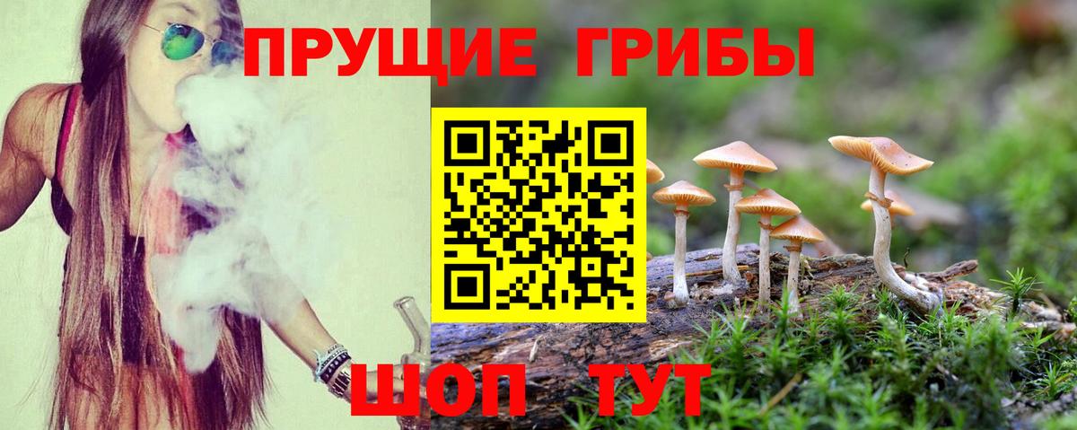 Галлюциногенные грибы мухоморы  Вход с VPN  Азнакаево 