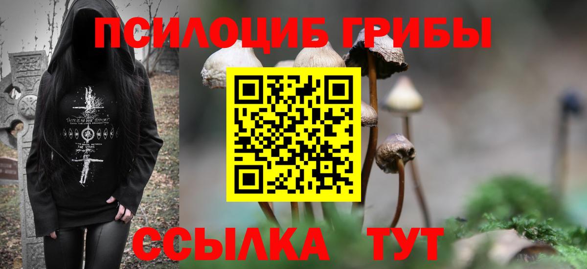 как найти наркотики  Азнакаево  Галлюциногенные грибы мицелий 