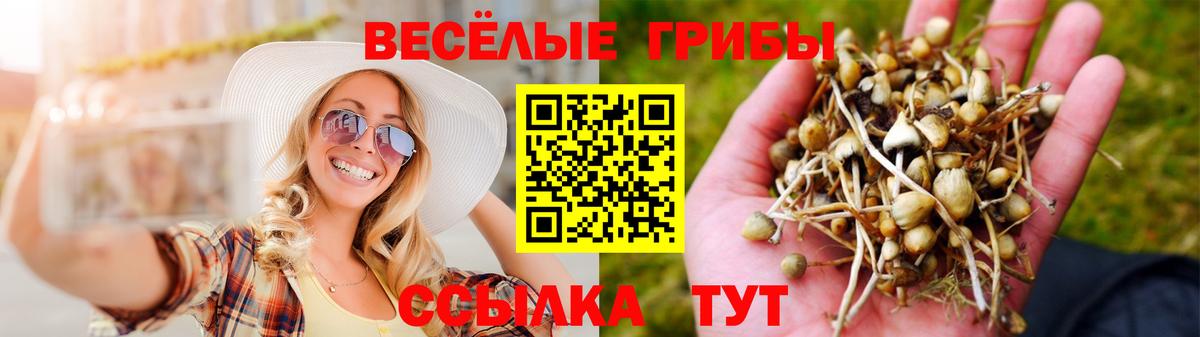 Псилоцибиновые грибы Magic Shrooms Азнакаево