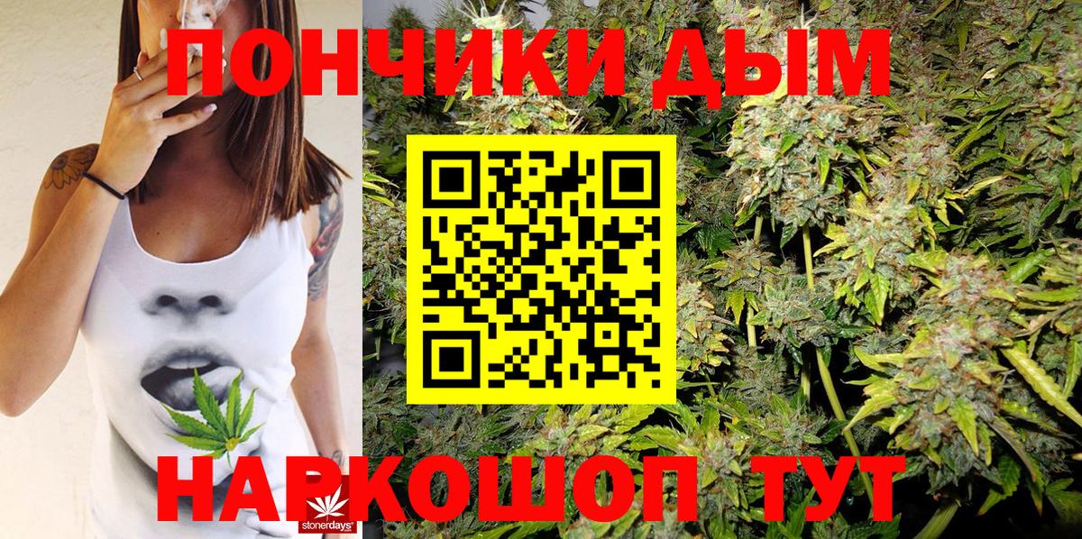 Канабис сатива  Азнакаево  Марихуана ГИДРОПОН  Каннабис семена  Шишки марихуана MAZAR 